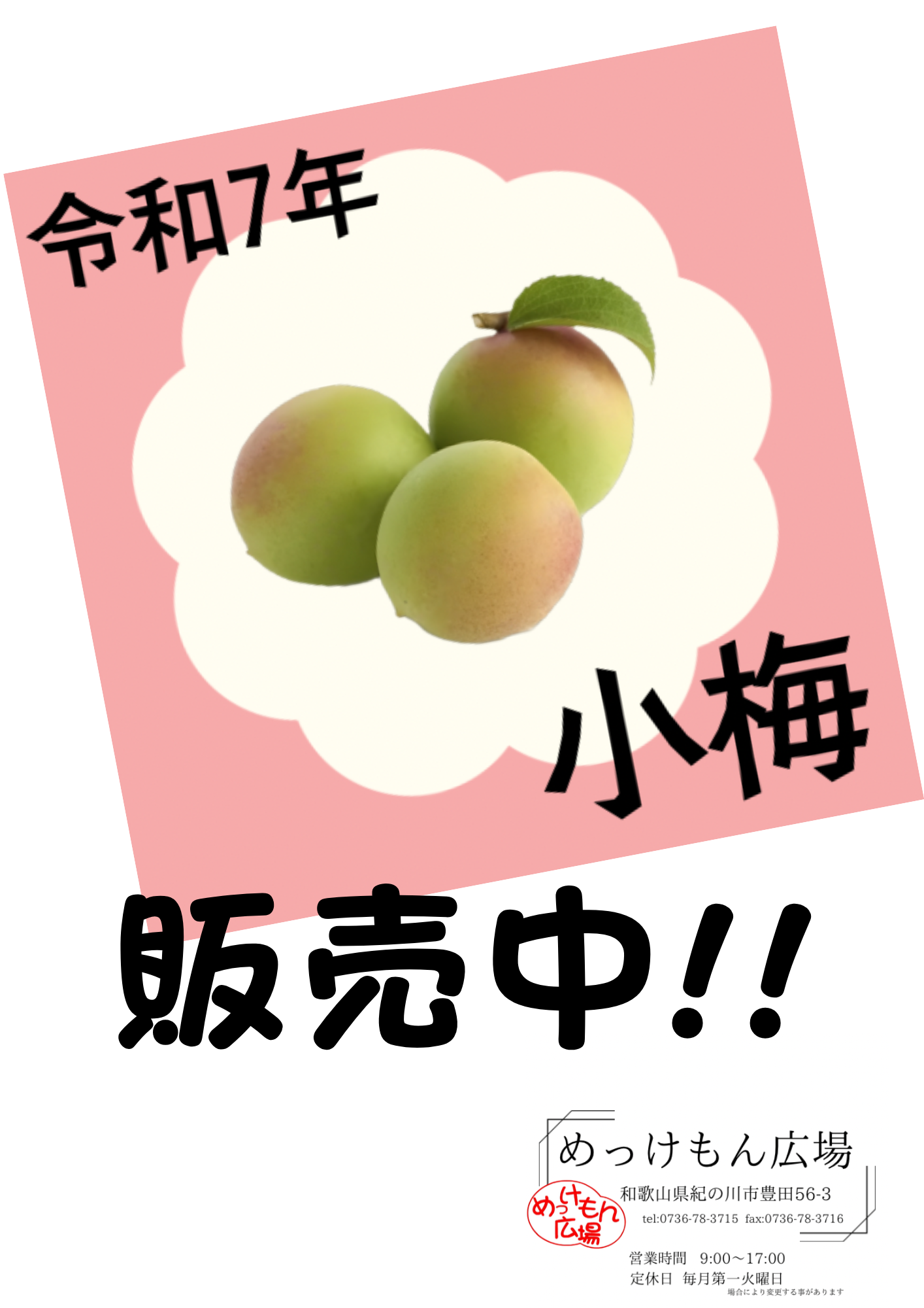 R7年　小梅販売中